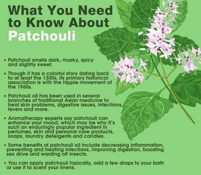 What You Need to Know About Patchouli